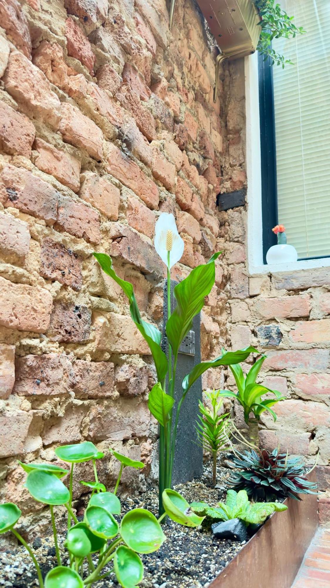 Aguas Frühstückspension *